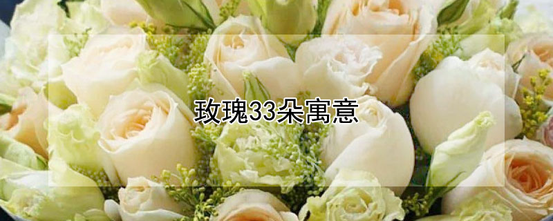玫瑰33朵寓意（玫瑰花33朵寓意）