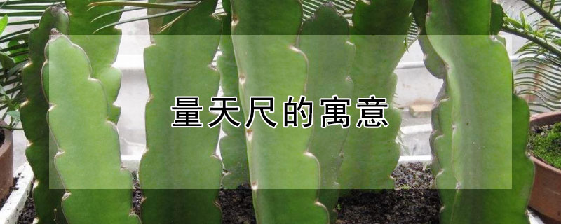 量天尺的寓意 量天尺的寓意与风水