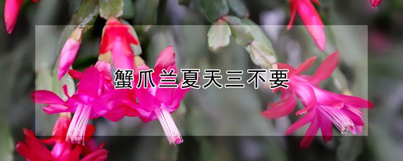 蟹爪兰夏天三不要 蟹爪兰怎么度夏
