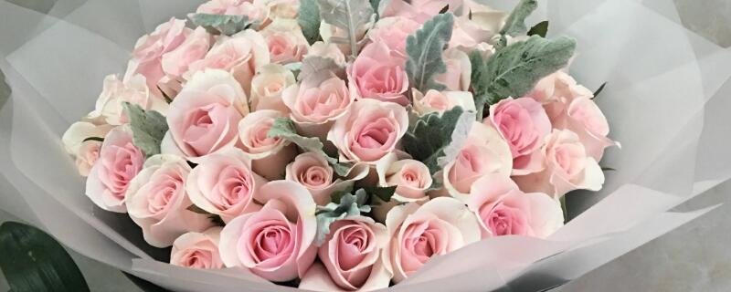 52朵玫瑰花语（52朵玫瑰花语每朵代表什么）