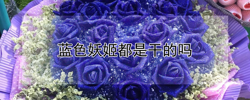 蓝色妖姬都是干的吗 蓝色妖姬真的是蓝色的吗