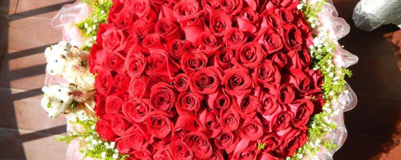 44朵玫瑰花花语是什么 44朵玫瑰花语是什么意思
