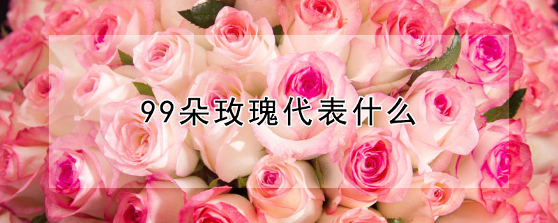 99朵玫瑰代表什么 全民送99朵玫瑰代表什么