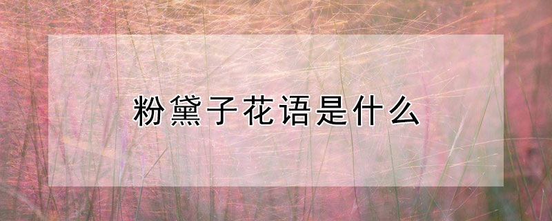 粉黛子花语是什么（粉黛花的花语）