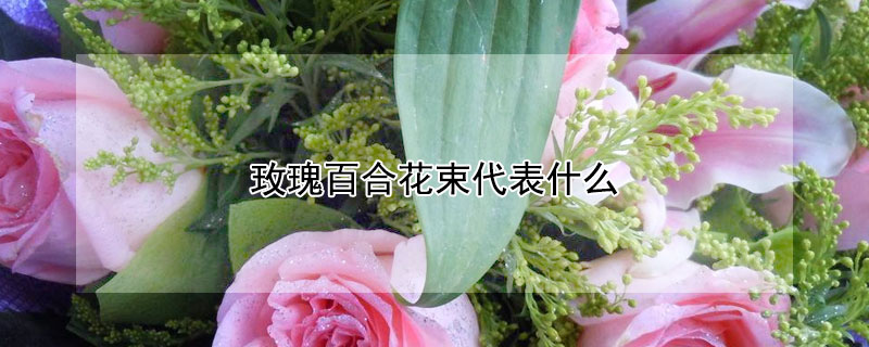 玫瑰百合花束代表什么（香槟玫瑰百合花束代表什么）