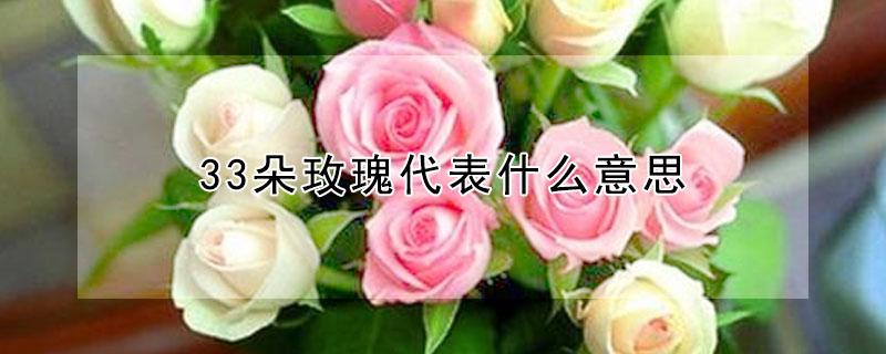 33朵玫瑰代表什么意思 19朵玫瑰代表什么意思