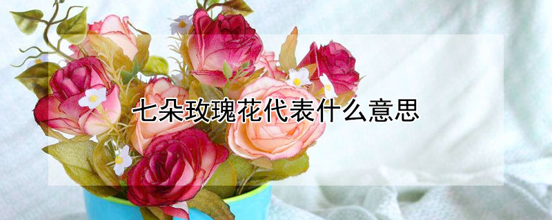 七朵玫瑰花代表什么意思（七朵玫瑰花代表什么意思不同颜色的）
