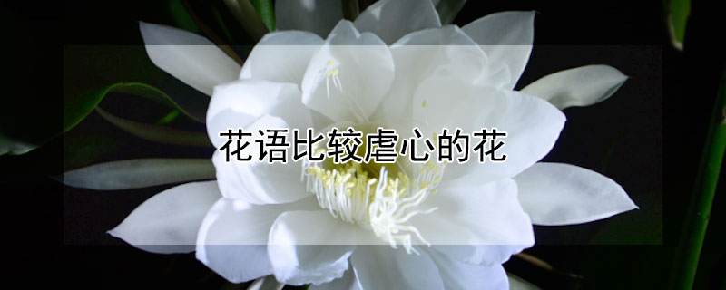 花语比较虐心的花 风信子