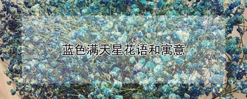 蓝色满天星花语和寓意（蓝色满天星花语和寓意贺卡）