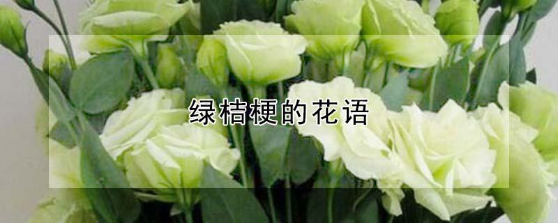 绿桔梗的花语（绿桔梗花的花语）