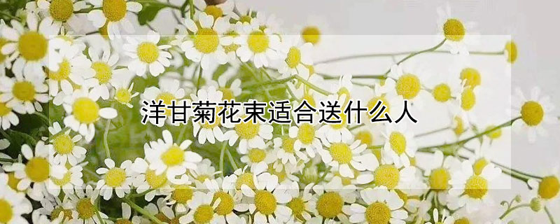 洋甘菊花束适合送什么人(洋甘菊花束可以送女朋友嘛)