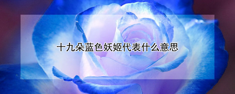 十九朵蓝色妖姬代表什么意思 十八朵蓝色妖姬代表什么意思