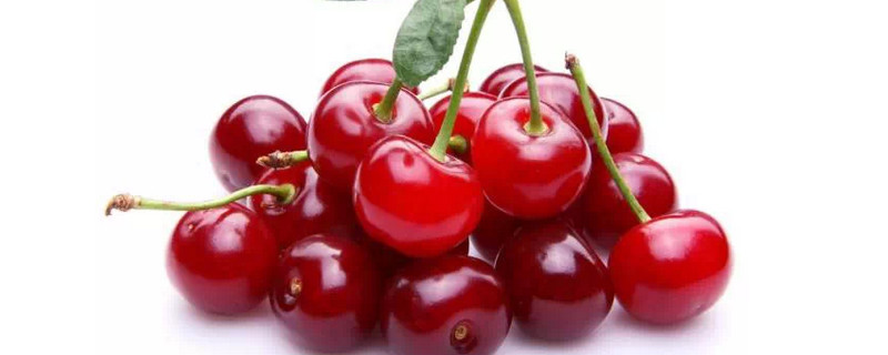 樱桃寓意是什么意思 樱桃的寓义