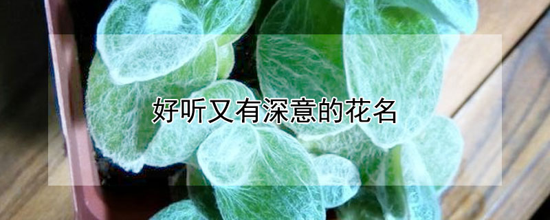 好听又有深意的花名 好听又有深意的花名男生