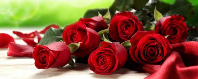10朵玫瑰花的含义（十朵玫瑰花代表）
