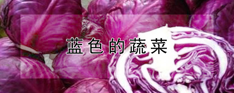 蓝色的蔬菜 蓝色的蔬菜水果有哪些