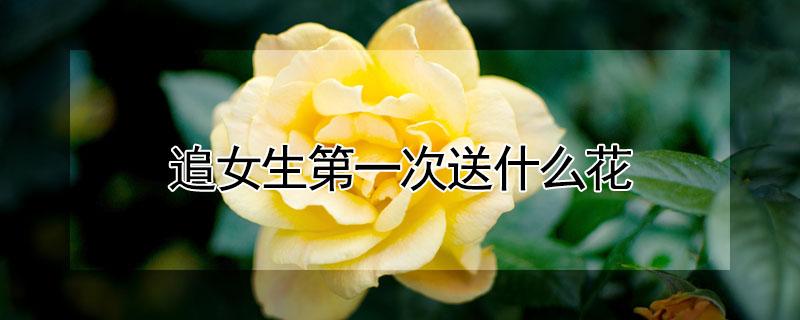 追女生第一次送什么花(追女生第一次送什么花卡写什么)