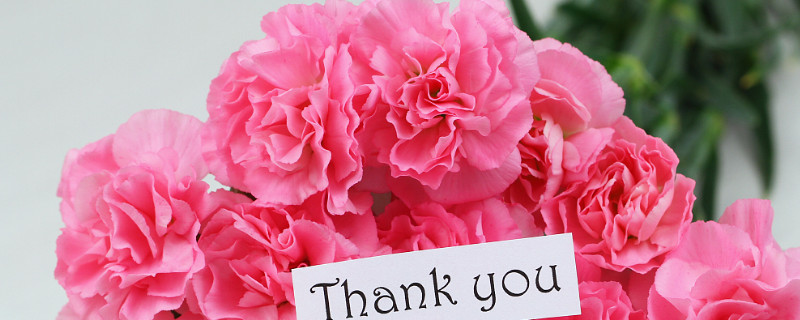 康乃馨枯萎了还能活吗（康乃馨有点枯还能活吗）