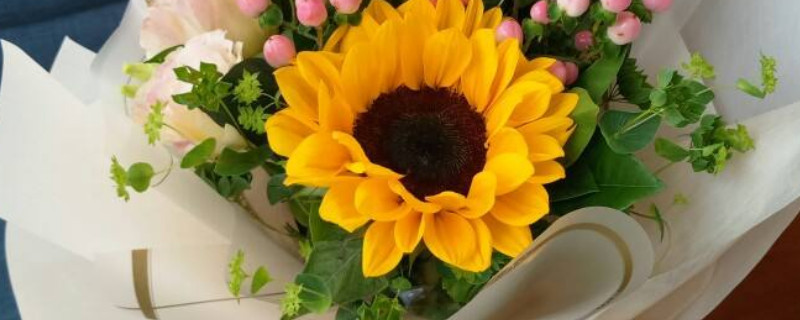 生日给自己买一束什么花 自己生日给自己买什么花