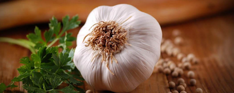 水仙和大蒜的区别 水仙跟大蒜