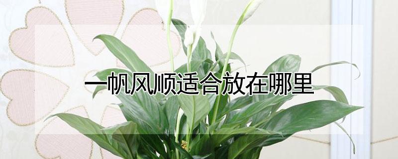 一帆风顺适合放在哪里（一帆风顺不宜放哪里）