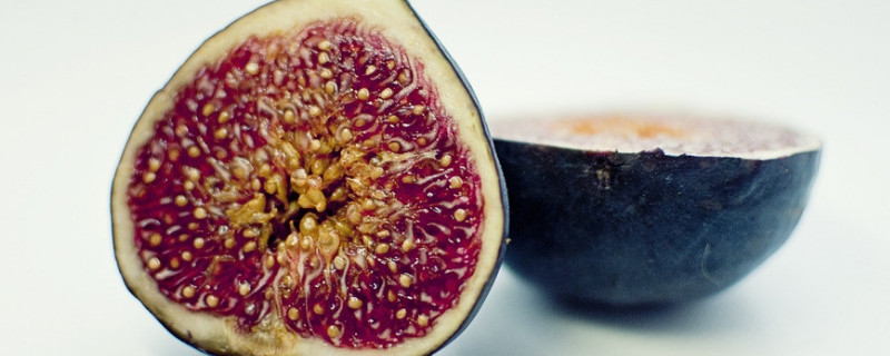 只结果不开花的植物（只结果不开花的植物树有什么）