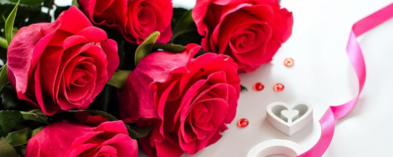 玫瑰花冬天在外面能过冬吗 玫瑰花冬天可以放在外面吗