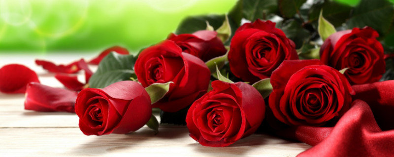 100朵玫瑰代表什么意思（100朵玫瑰代表什么花语）