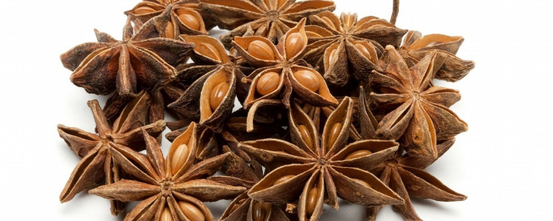 八角树几年结果 八角树几年开花结果