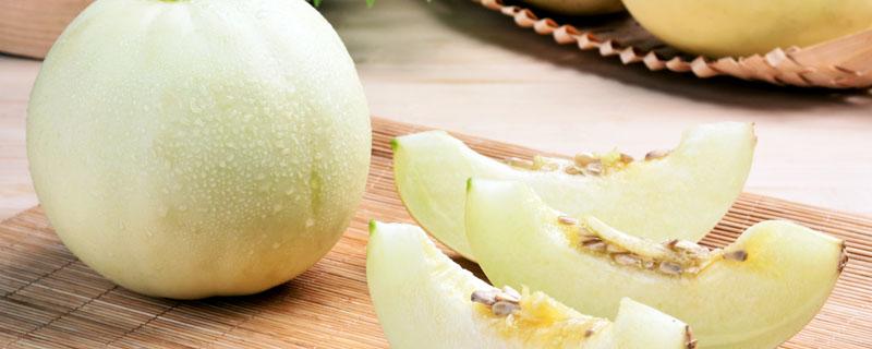 芒果的收获季节是什么时候