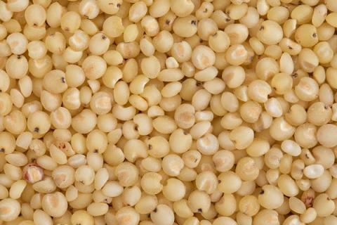 白高粱米的功效与作用