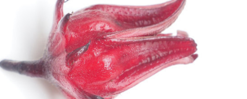 玫瑰茄是什么东西 玫瑰茄是什么东西做的国产里面放的玫瑰茄是什么做的