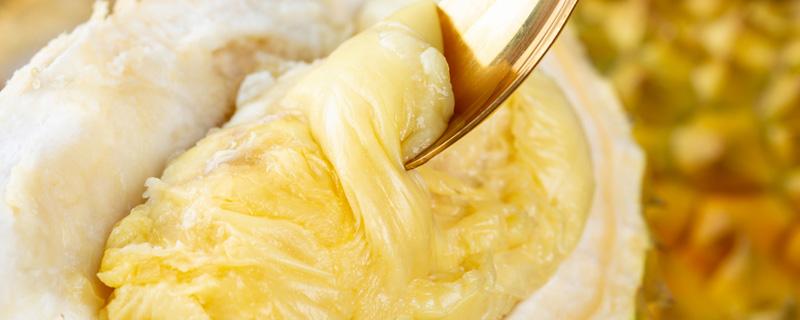 榴莲为什么是臭的