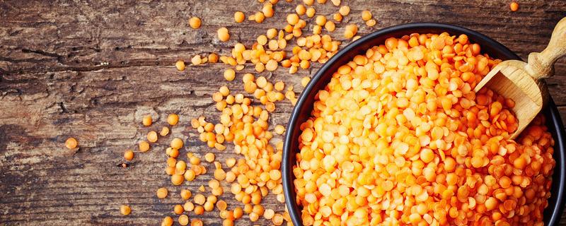 春玉米播种注意事项