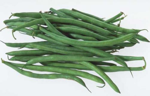 四季豆