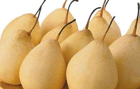 梨树花多果少怎么办 梨树开花多结果少怎么回事