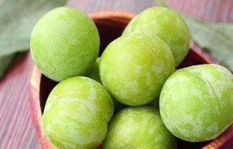 李子树种植的管理 李子树种植的管理方法