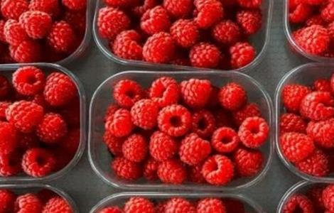 树莓种植的注意事项 树莓种植的注意事项和禁忌