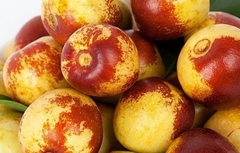 种植冬枣所需要的环境（冬枣的栽培技术和适合环境）