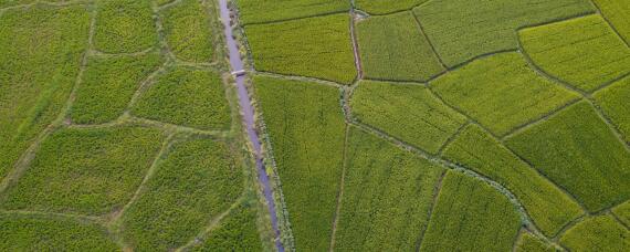 2021年粮食产量保持在多少斤以上 2021年发展主要预期目标粮食产量保持在多少斤以上?