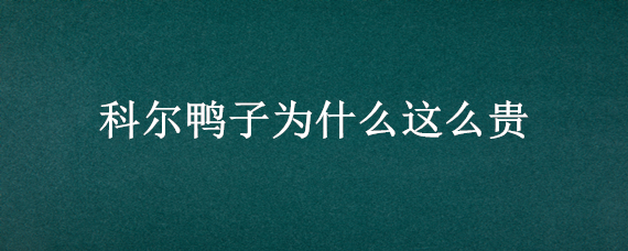 科尔鸭子为什么这么贵 价值上万的柯尔鸭