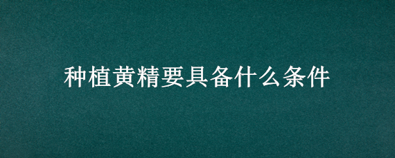 种植黄精要具备什么条件（种植黄精要具备什么条件海拔）