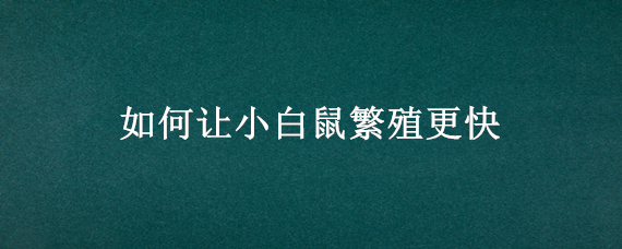 如何让小白鼠繁殖更快（小白鼠繁殖组繁殖速度）