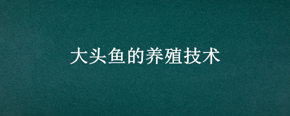 大头鱼的养殖技术 大头鱼养殖技术与注意事项