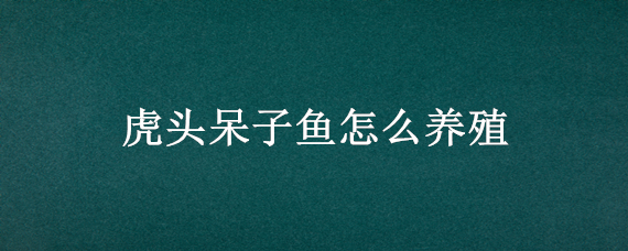 虎头呆子鱼怎么养殖 虎头呆子鱼养多久