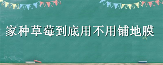 家种草莓到底用不用铺地膜 种草莓怎么铺地膜