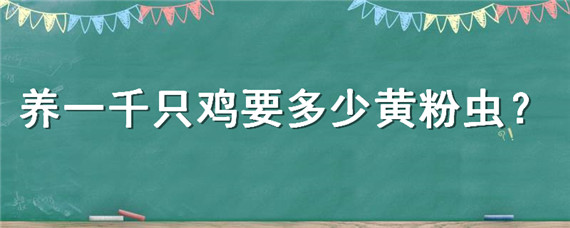 养一千只鸡要多少黄粉虫 3000只鸡养多少黄粉虫