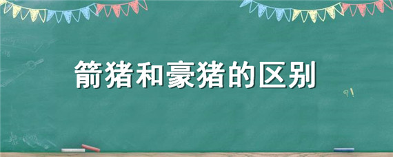 箭猪和豪猪的区别（豪猪的箭有什么用）