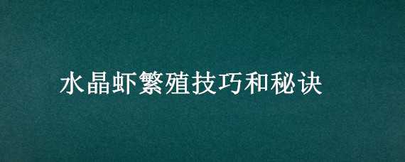 水晶虾繁殖技巧和秘诀 水晶虾怎么快速繁殖