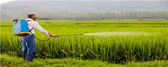 预防农药污染的主要措施 预防农药污染的主要措施有哪些